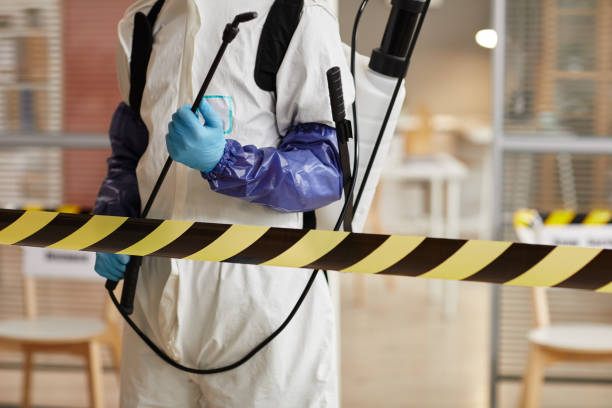 Professional Sewage Cleanup technician working in Quincy, MI