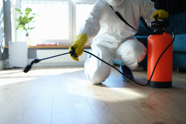 Reliable Sewage Cleanup contractor in Quincy, MI by Trauma Clean Pros